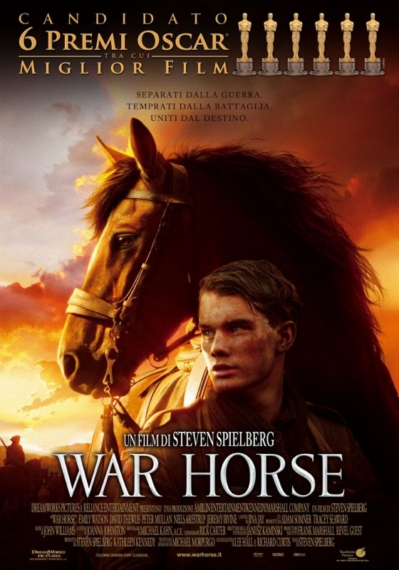 War horse