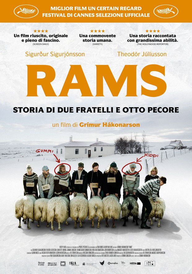 Rams – Storie di due fratelli e otto pecore
