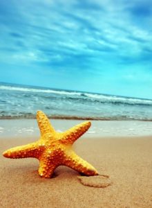 Arrivederci a settembre